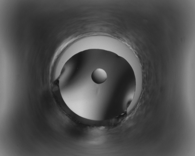 X0000086100248200704132153