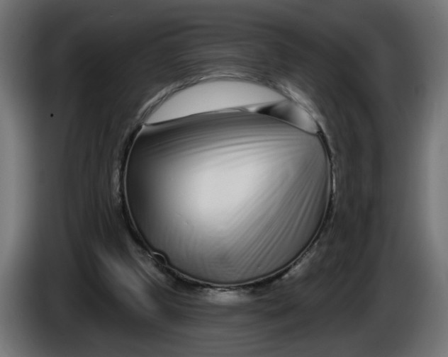 X0000086100249200704132153
