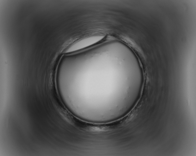 X0000086100250200704132153