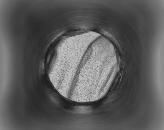 X0000086100251200704132153