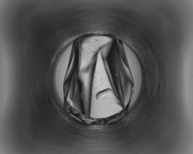 X0000086100252200704132153