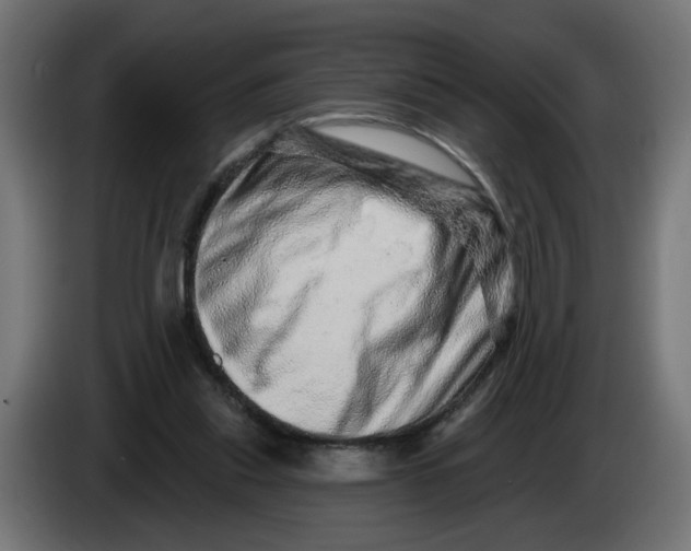 X0000086100253200704132153