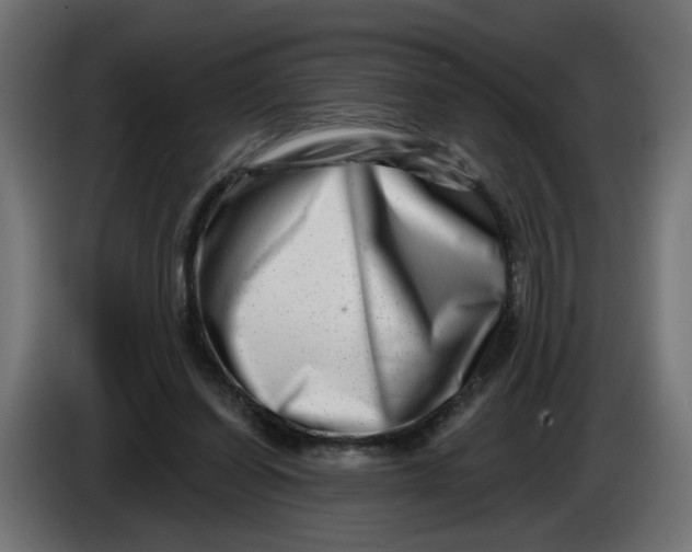 X0000086100254200704132153