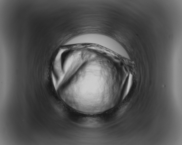 X0000086100255200704132153