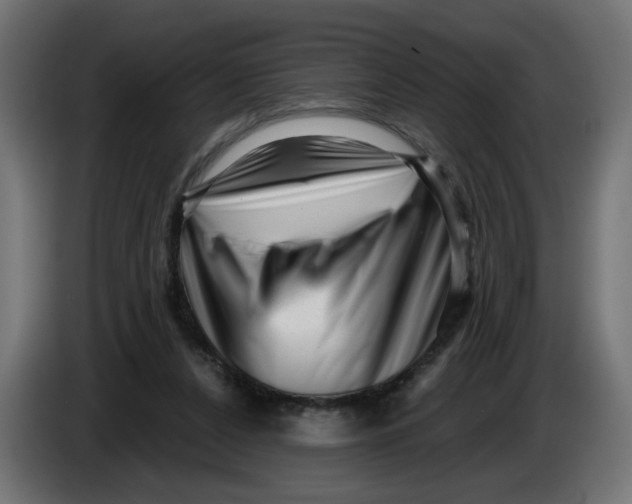 X0000086100256200704132154