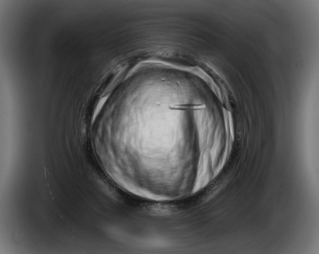 X0000086100261200704132154