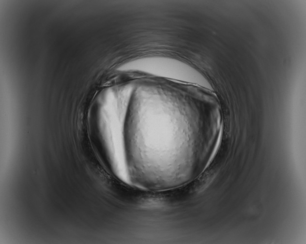X0000086100263200704132154