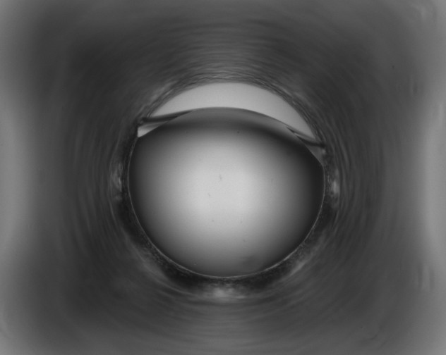 X0000086100264200704132154