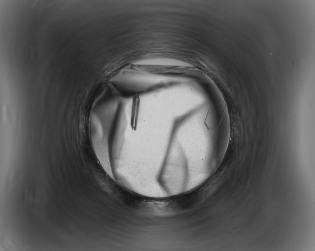 X0000086100265200704132154