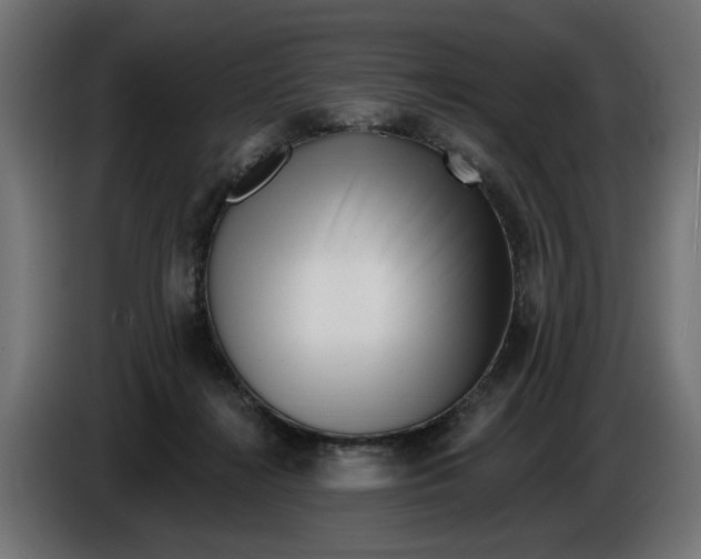 X0000086100268200704132154