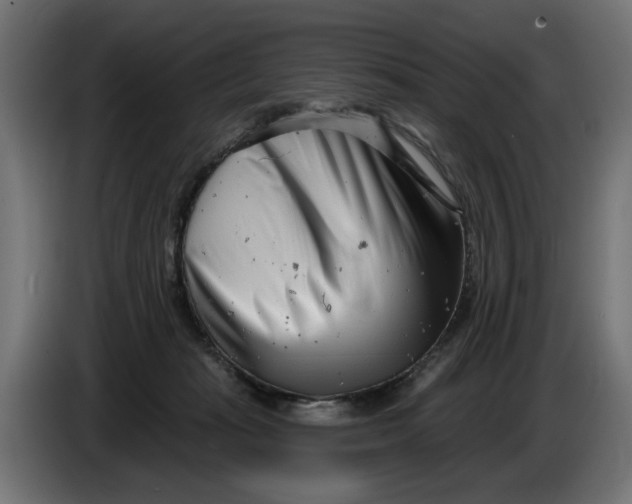 X0000086100269200704132154