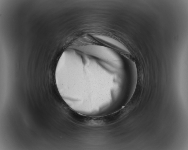 X0000086100270200704132154