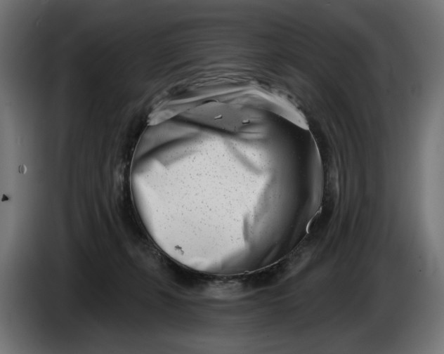 X0000086100271200704132154