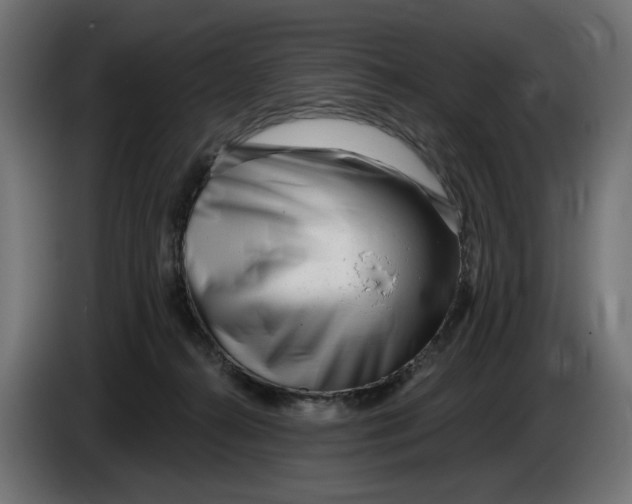 X0000086100272200704132154