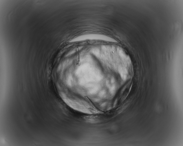 X0000086100273200704132154