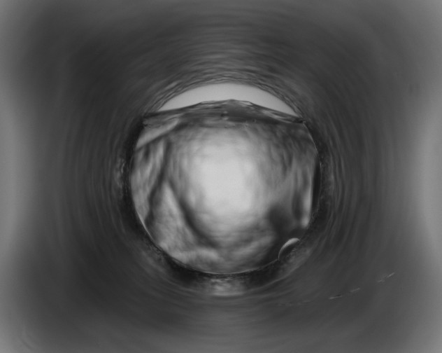 X0000086100275200704132154