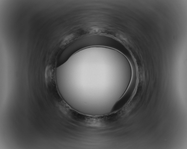 X0000086100276200704132154