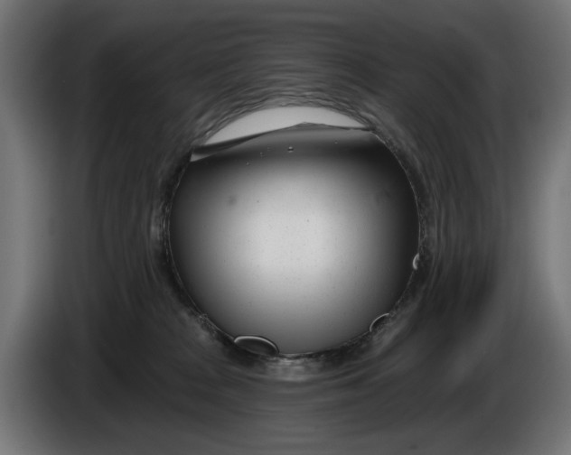 X0000086100277200704132154