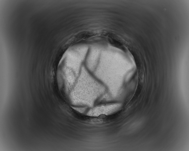 X0000086100279200704132154