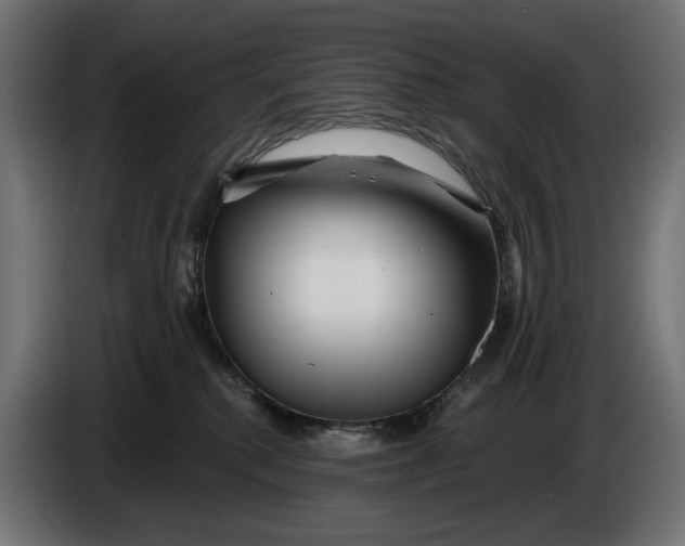 X0000086100280200704132154