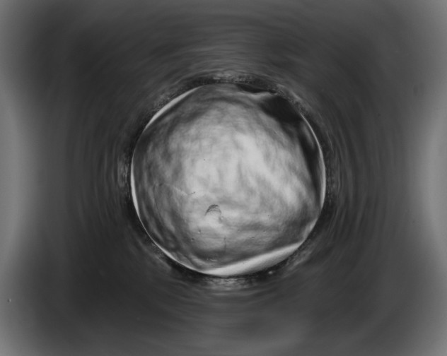 X0000086100281200704132154