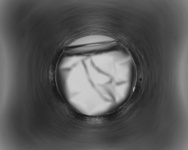 X0000086100282200704132154