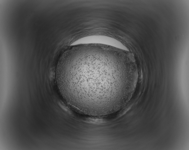 X0000086100284200704132154