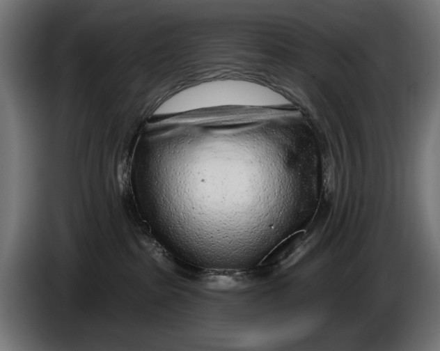 X0000086100285200704132154