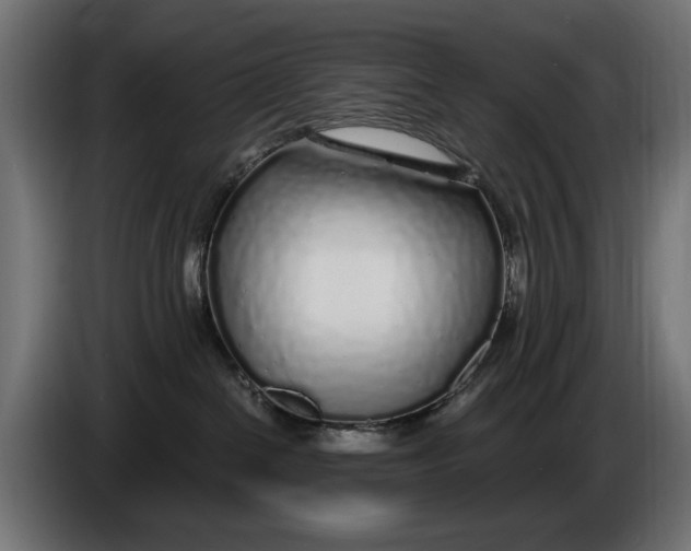 X0000086100286200704132154