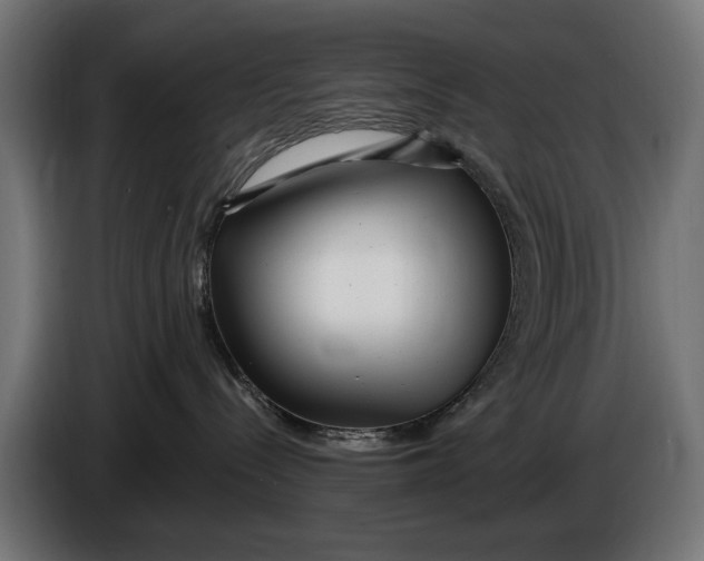 X0000086100288200704132154
