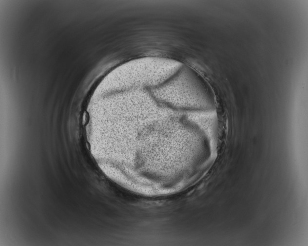 X0000086100291200704132153