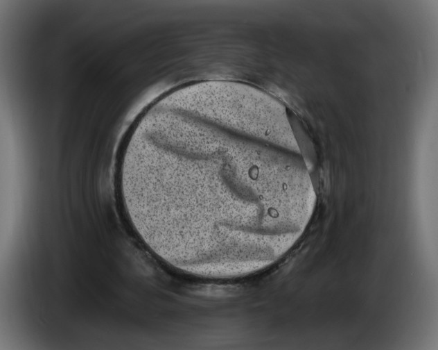 X0000086100292200704132153