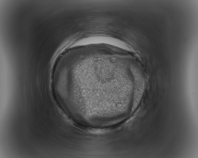 X0000086100293200704132153