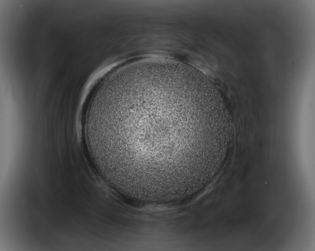 X0000086100294200704132153