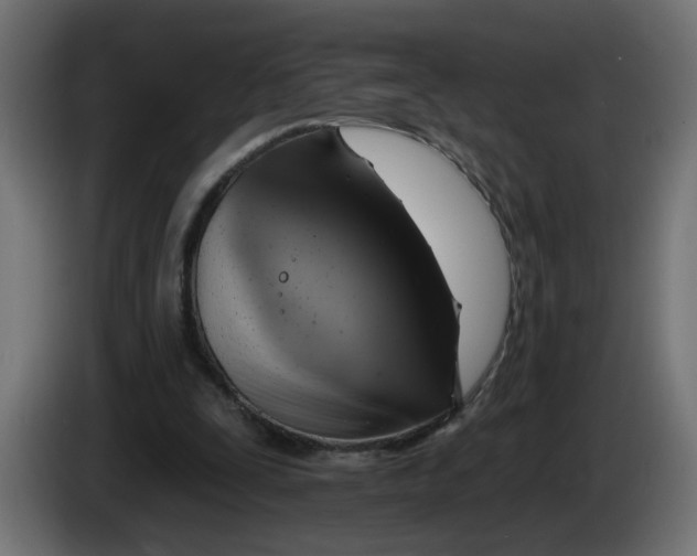 X0000086100295200704132153