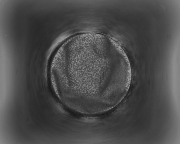 X0000086100296200704132153