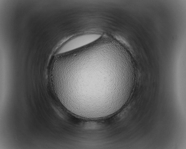 X0000086100298200704132153
