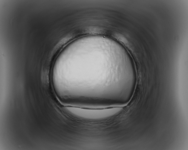 X0000086100299200704132153