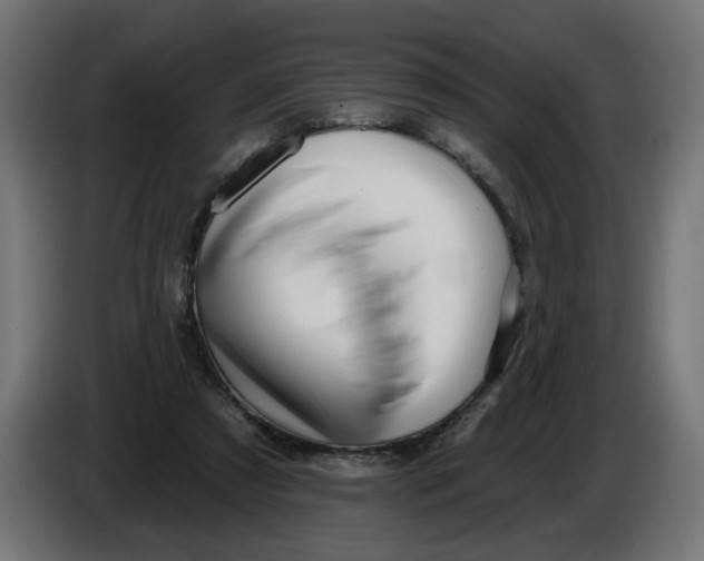 X0000086100305200704132153