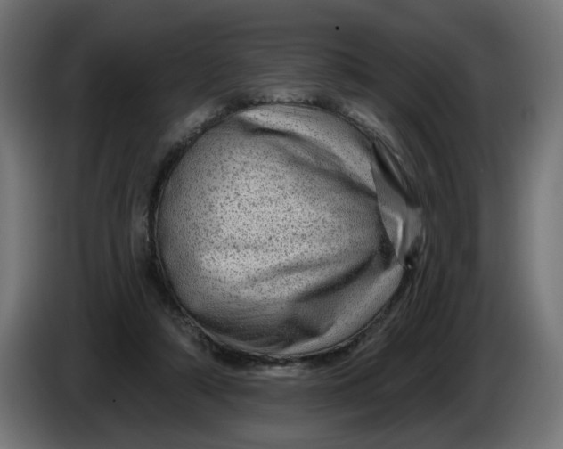 X0000086100306200704132153