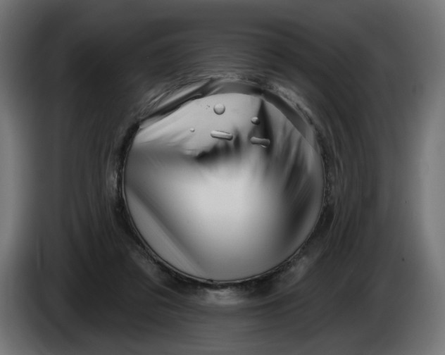 X0000086100309200704132153