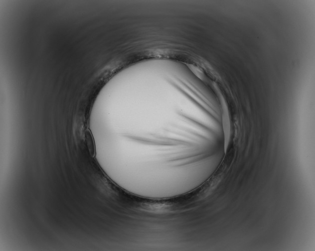 X0000086100313200704132153