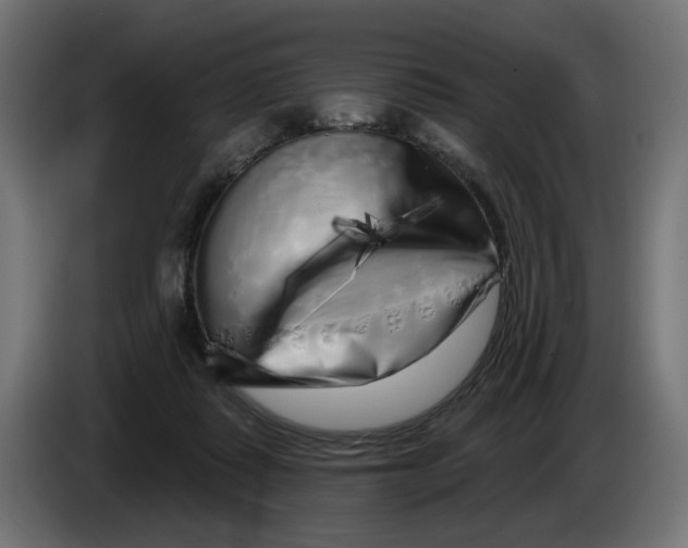 X0000086100315200704132153