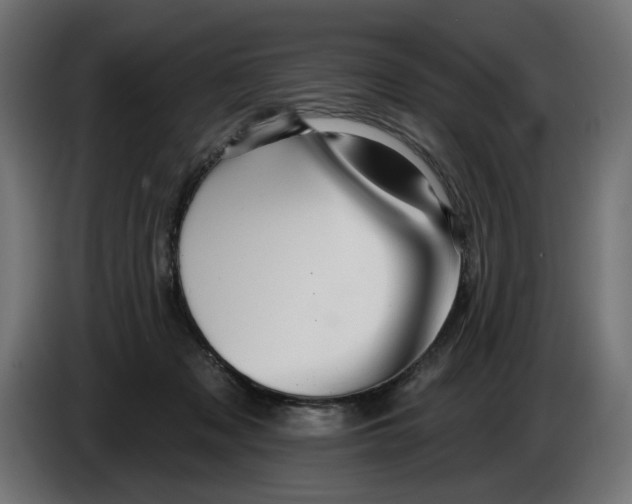 X0000086100317200704132153