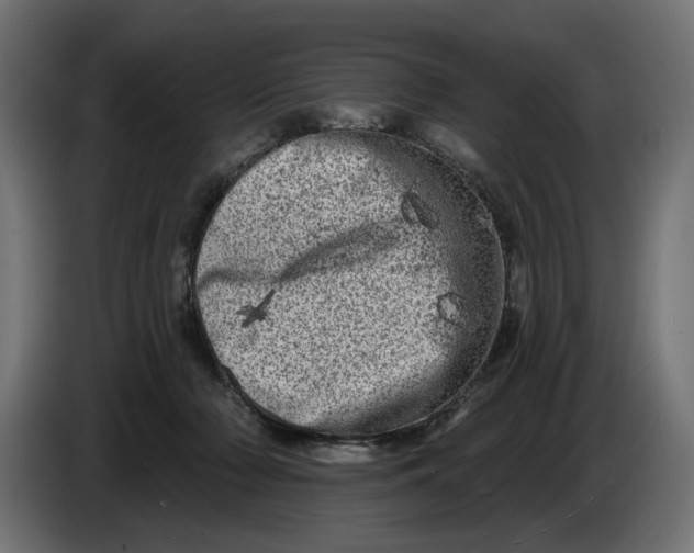 X0000086100318200704132153