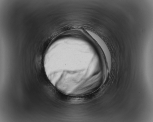 X0000086100319200704132153