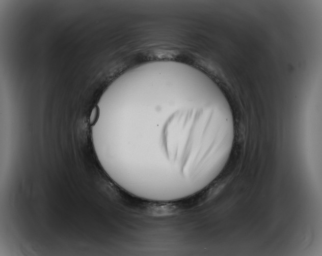X0000086100321200704132153