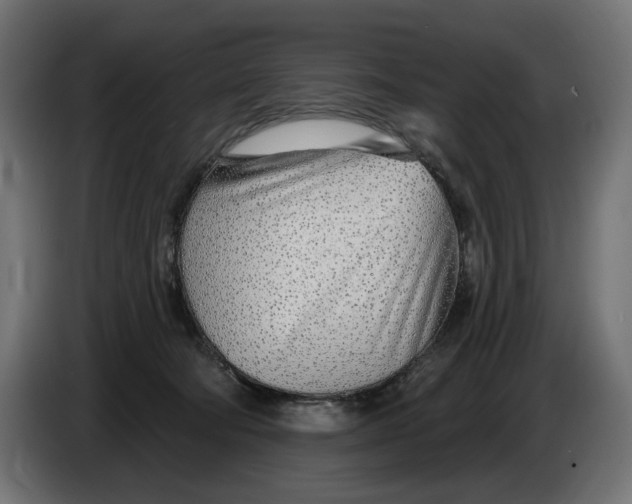 X0000086100322200704132153