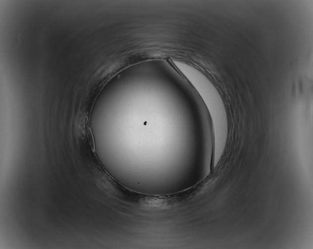 X0000086100325200704132153