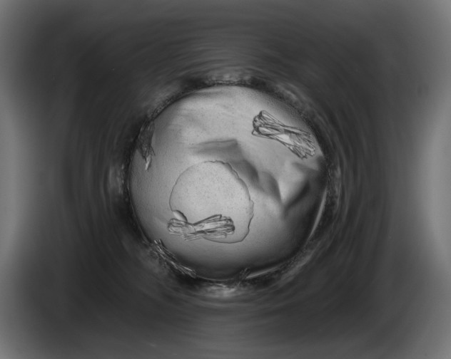 X0000086100326200704132153